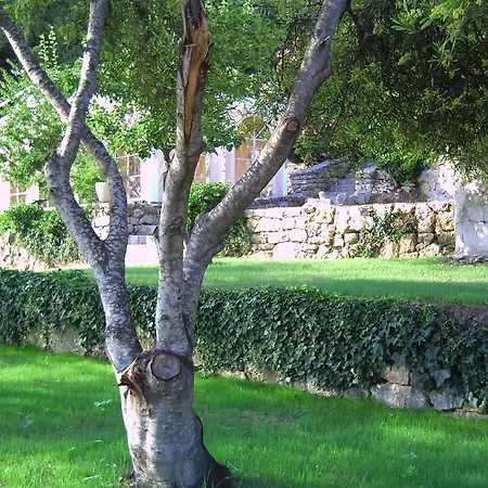 Domaine Du Mont Leuze